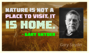 gary-snyder-quote-1