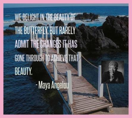 We delight in the beauty of the butterfly, but rarely admit the changes it has gone through to achieve that beauty. -- Maya Angelou