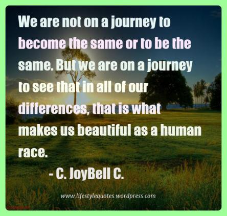 we-are-not-on-a-journey-to_image_quote_15